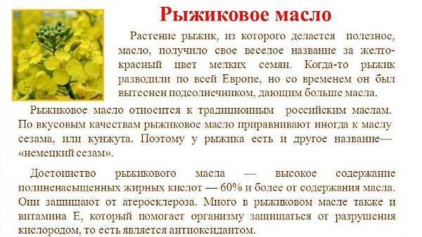 Грибы рыжики - как выглядят и чем отличаются от ложных рыжиков