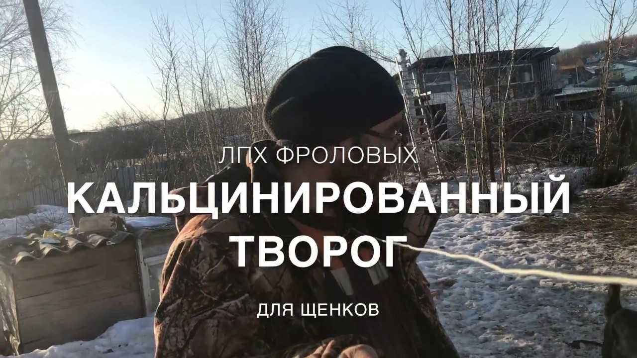 Кальцинированный творог в домашних условиях: 2 рецепта с фото