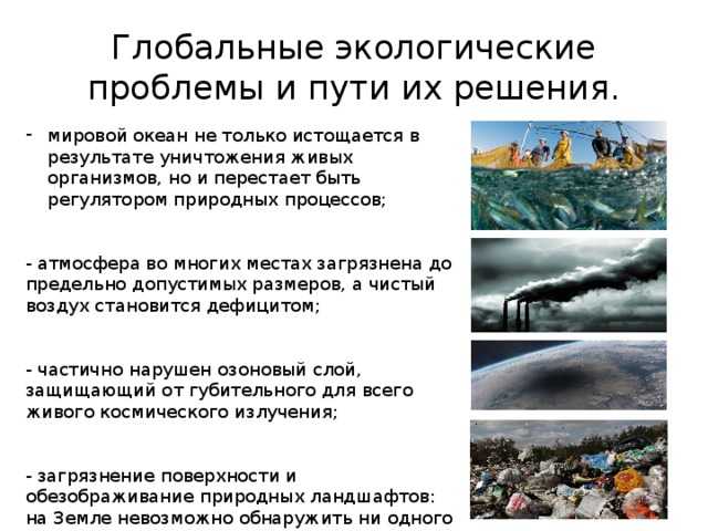Экологический кризис как глобальная проблема современности