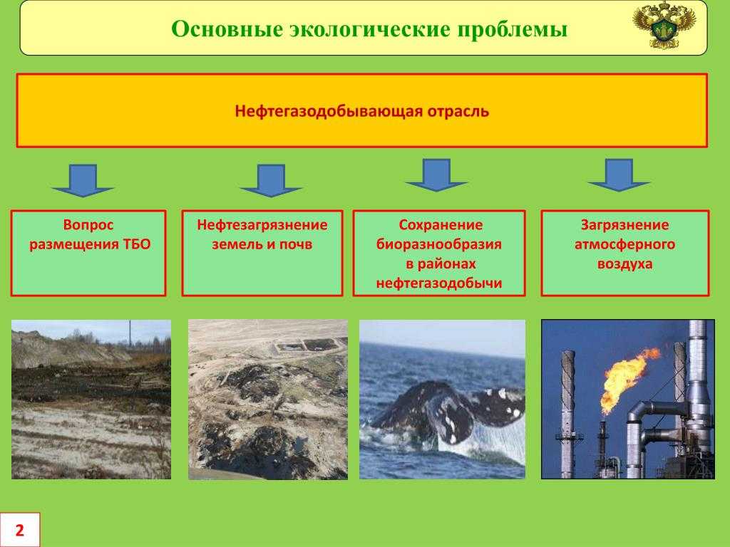 Горный алтай: какое будущее ждет один из самых чистых регионов россии | рбк тренды