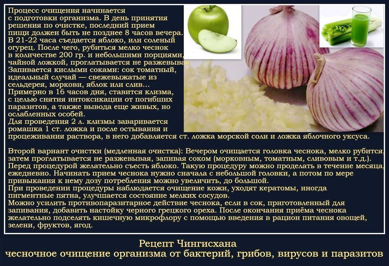 Народные средства от глистов для собак