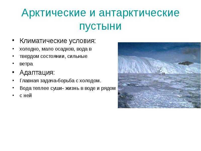 Арктические климатические условия