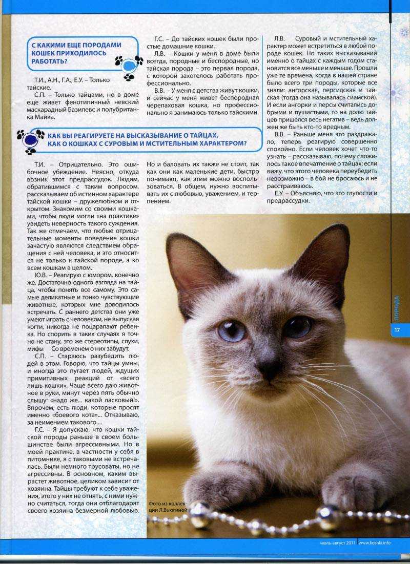 Вес котенка по месяцам: таблица (средние показатели и значения для популярных пород), нормы прибавки, правила взвешивания питомца