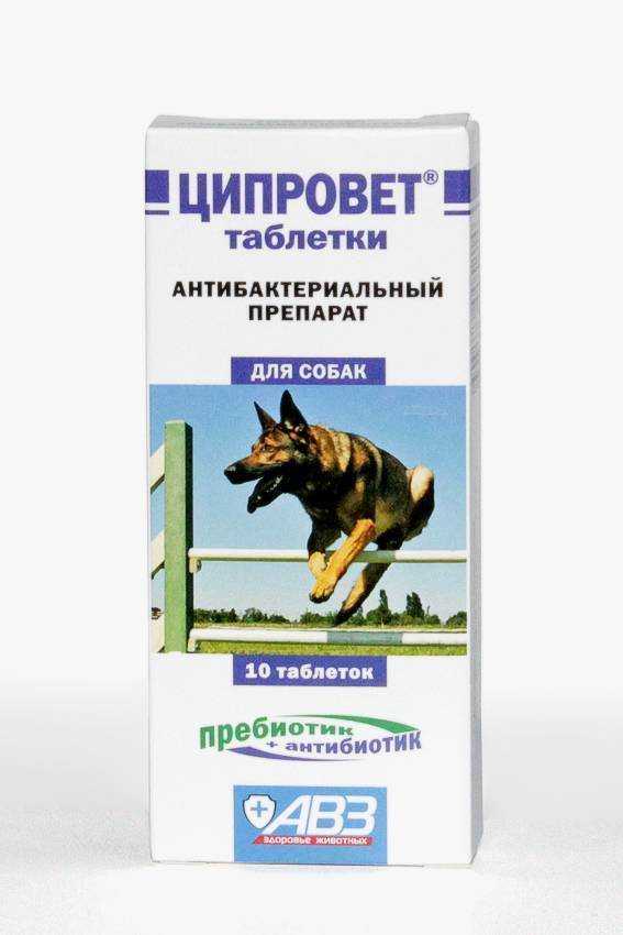 Ципровет для собак: описание, инструкция и применение | все о собаках
