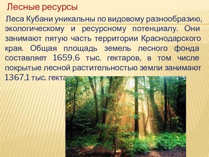 Презентация природные ресурсы краснодарского края (подготовительная группа)  доклад, проект
