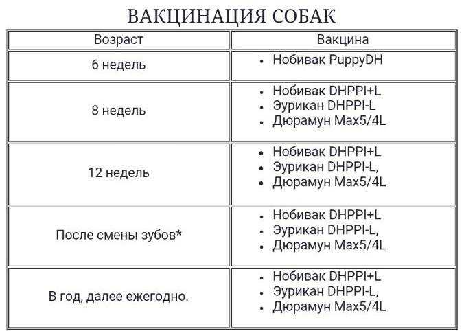 Не знаете когда можно мыть щенка или взрослую собаку после прививки Читайте развернутые ответы на все вопросы в нашем авторском разборе