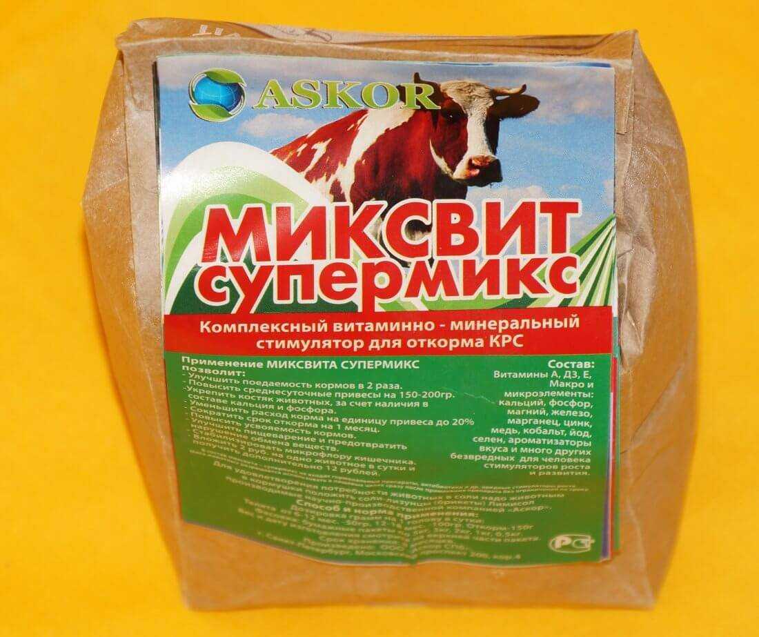 Для чего дают кальций собаке: важность витамина для мелкой и крупной пород