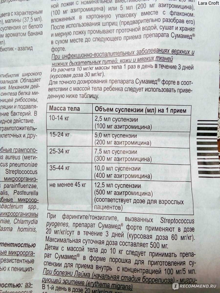 Как выбрать антибиотики для собак
