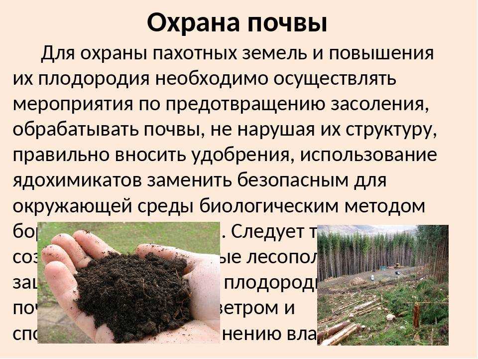 Правовая охрана почв