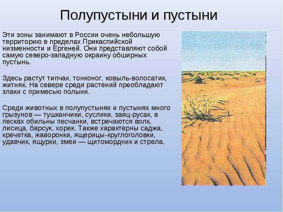 Растения пустыни: названия, описание и особенности