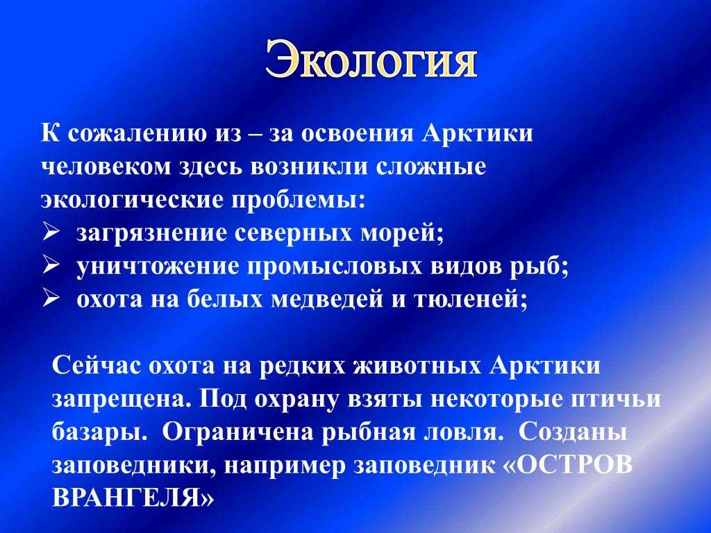 Экологические проблемы арктических пустынь