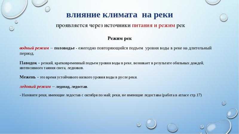Климат амазонки: факторы и влияние | читатель домашних животных