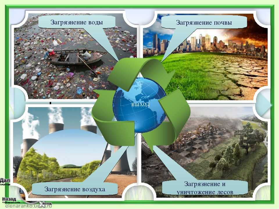 Загрязнение почвы и что с этим делать - кудаградусник.ру