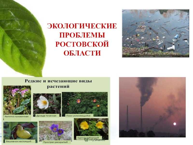 Мероприятия по уменьшению загрязнения атмосферного воздуха на примере ростовской области | статья в журнале «молодой ученый»