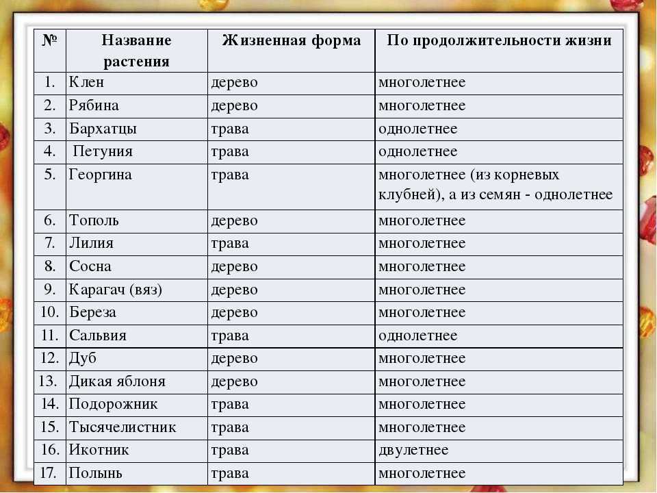 Быстрорастущие деревья и кустарники в ландшафтном дизайне. » — listera —