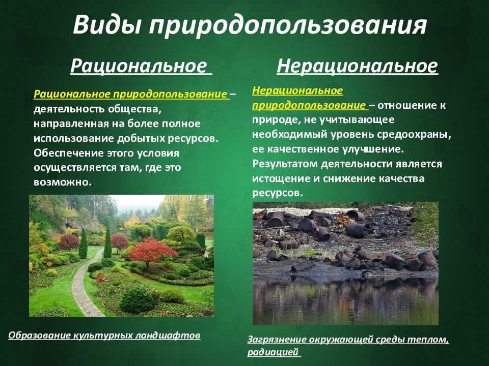 Конспект "природопользование: основные типы" - учительpro