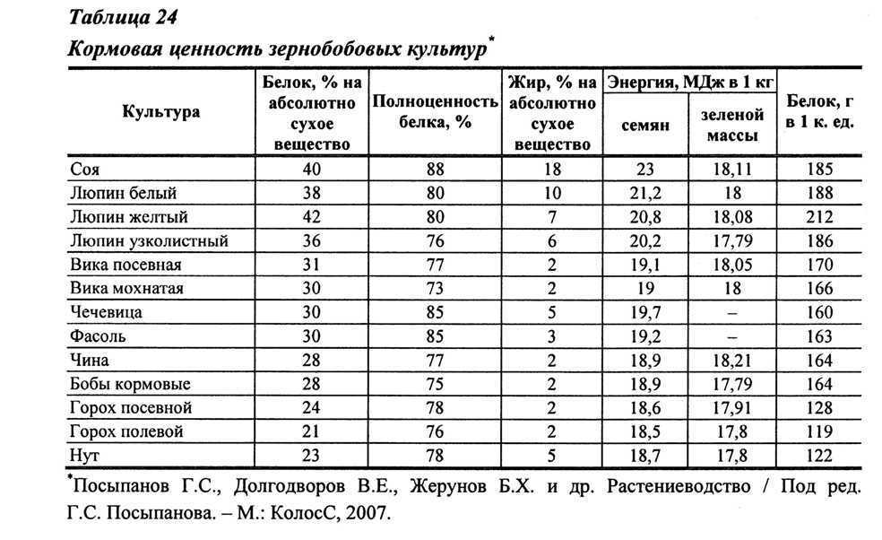 Прочтите, если не знаете, можно ли фасоль собакам