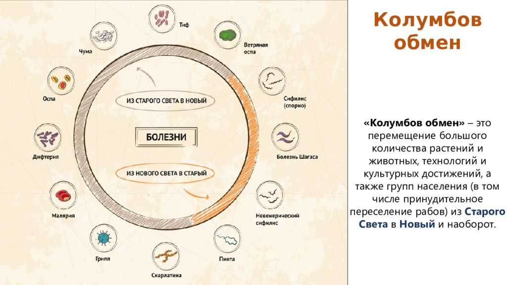 Культурные растения: сорта, примеры растений, травы, деревья, кустарники