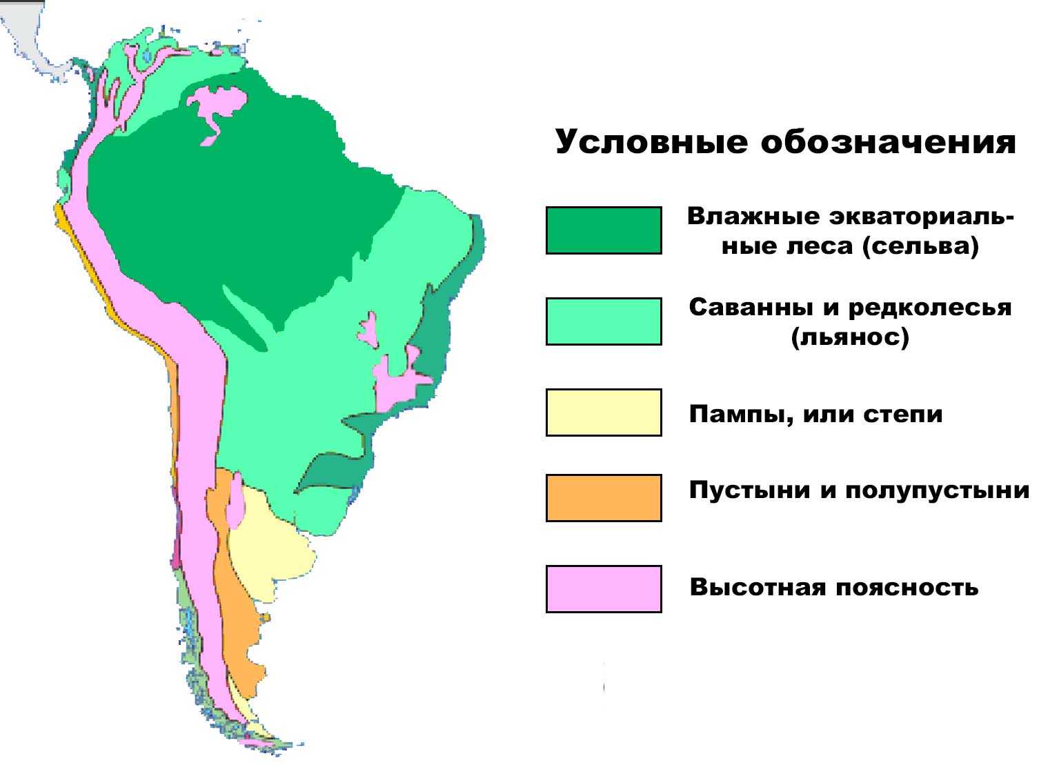 Саванна: где находится, климат, растения, животные, птицы