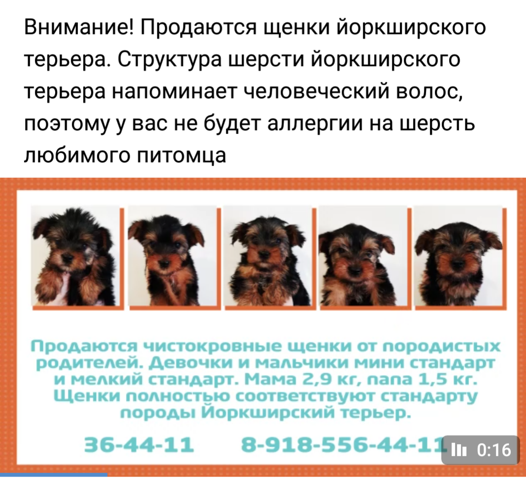 В каком возрасте щенков отлучают от матери?