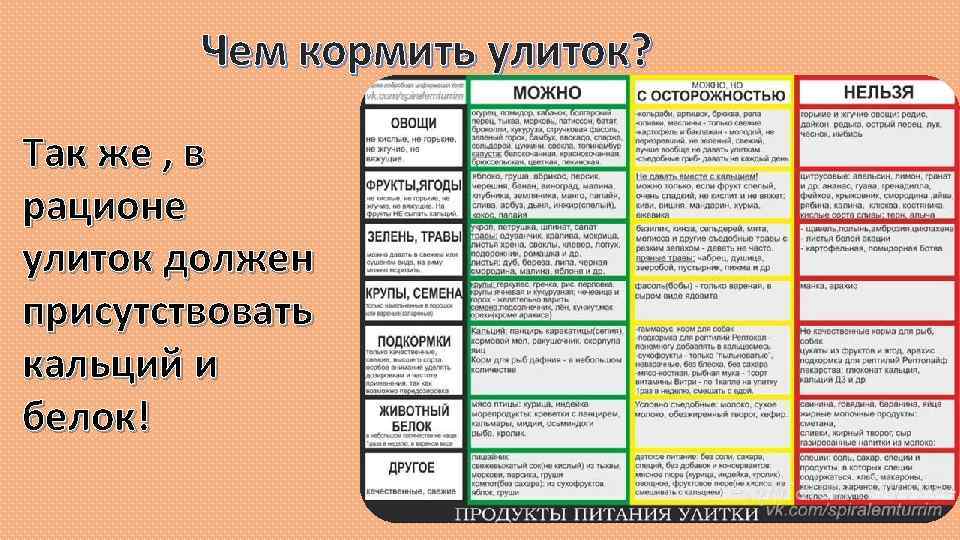 Чем кормить домашнюю крысу, что ест декоративная крыса