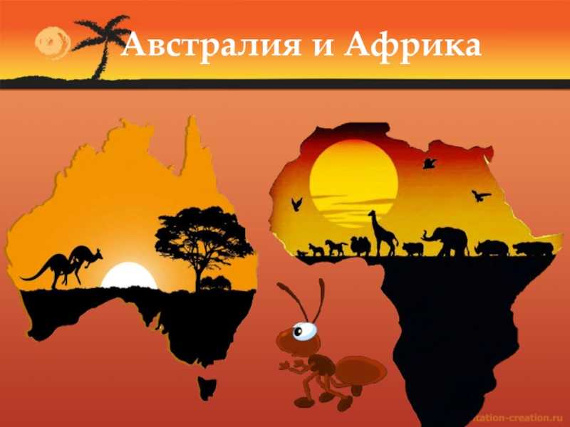 Урок 8: материки. природа и население - 100urokov.ru