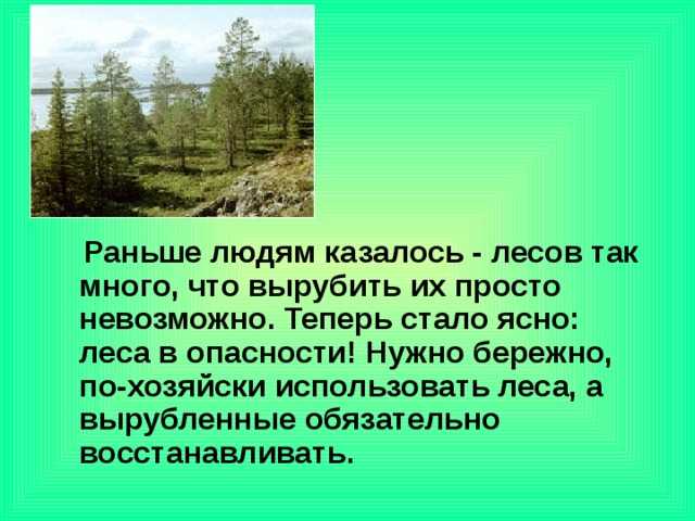 Природные зоны россии: тайга, смешанные леса, лесостепь