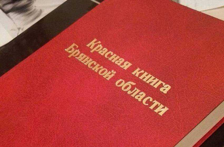Красная книга брянской области - красные книги центрального федерального округа | некоммерческий учебно-познавательный интернет-портал зоогалактика