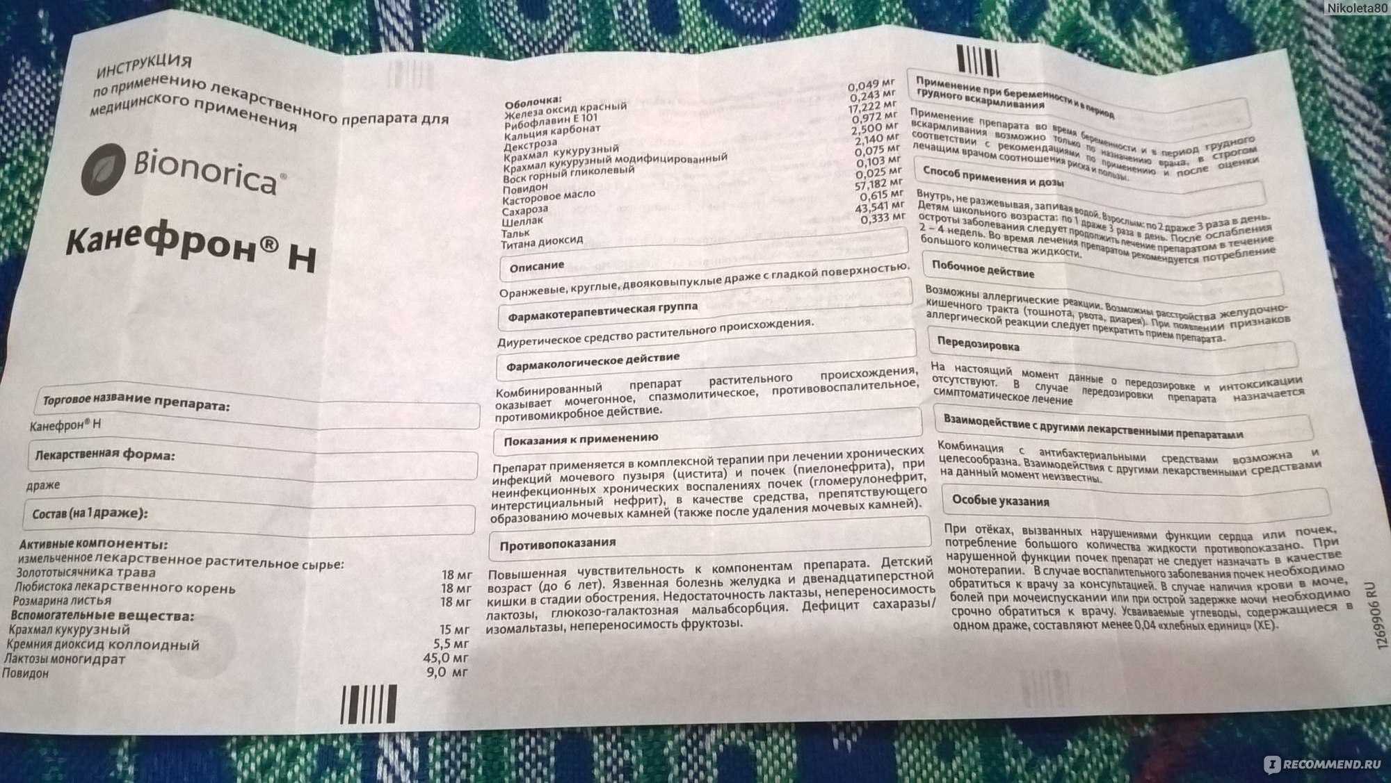 «канефрон» для кошек: инструкция по применению, дозировка, как давать, можно ли давать коту