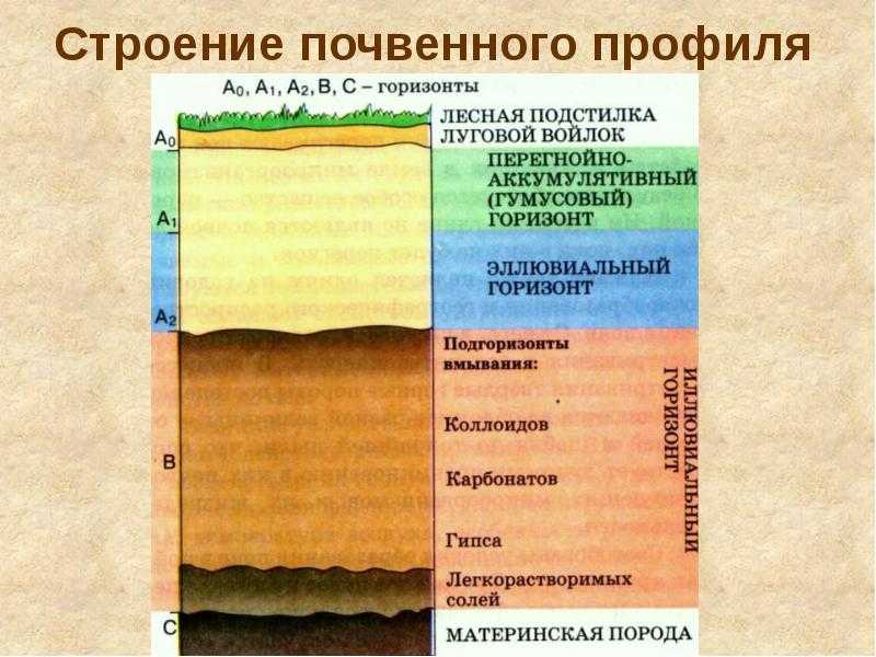 Какие меры по охране почв необходимо принимать чтобы сохранить почвенные ресурсы кратко