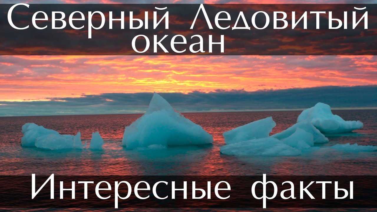 Доклад-сообщение северный ледовитый океан 2, 4, 7 класс