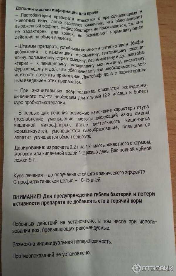 Пробиотики для собак: список самых популярных марок | звери дома