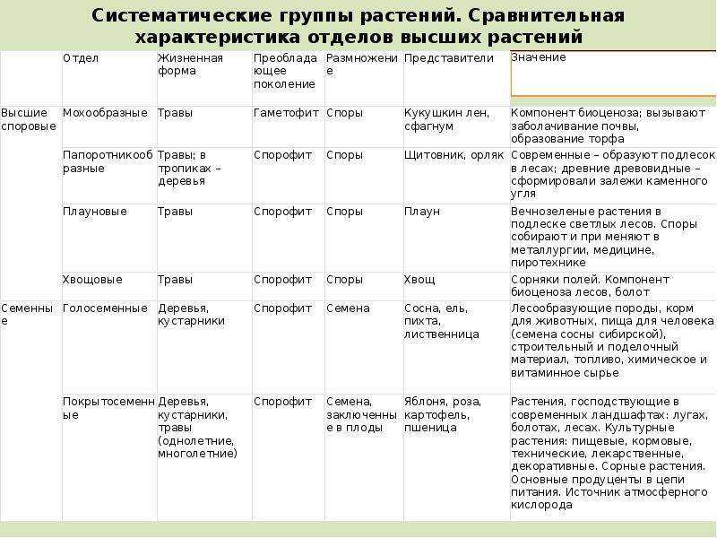 Основные отделы растений. особенности строения и жизнедеятельности.