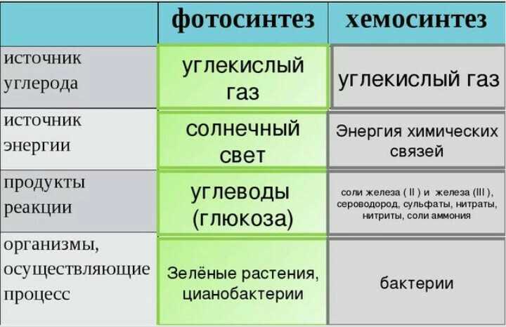 Сравните процессы фотосинтеза и хемосинтеза выявите сходства и различия этих процессов кратко