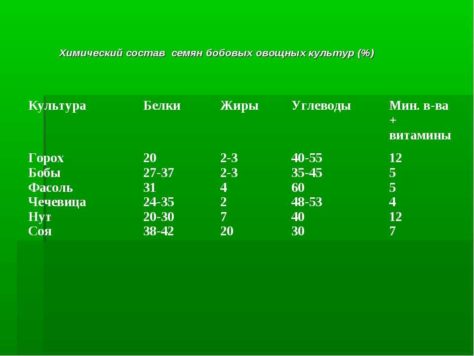 Какие овощи и зелень можно собаке