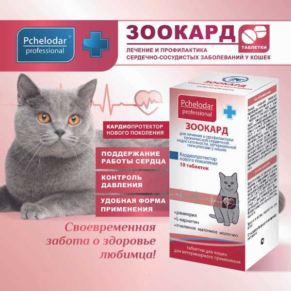 Суспензии от глистов для собак: виды, дозировка, какие лучше