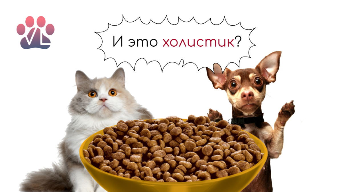 Чувствуют ли кошки вкус