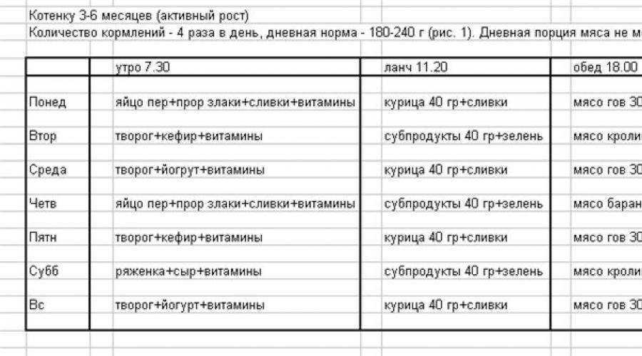 Чем и как выкормить новорожденного котенка до 1 месяца без кошки?