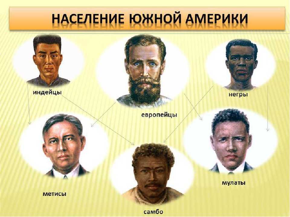 География: &50 политическая карта и население южной америки