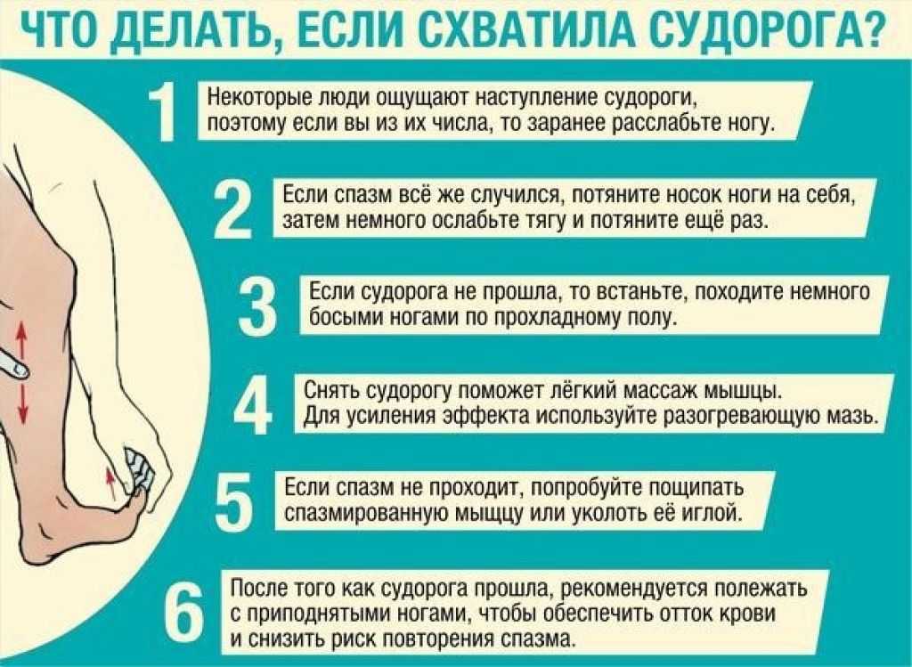 Как сделать массаж собаке – как делать правильно, польза и противопоказания массажа (75 фото и видео)