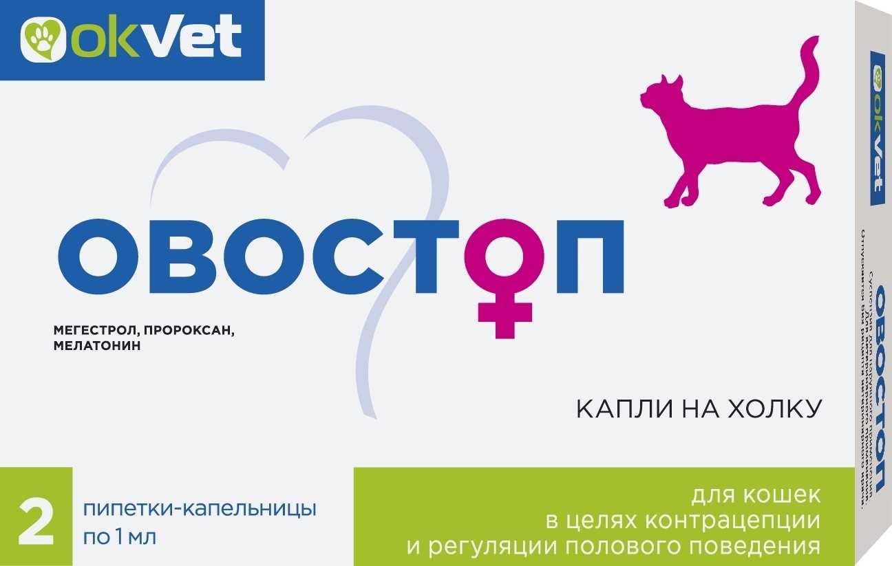 Способ применения гормональных уколов депо-провера для кошки против гуляния