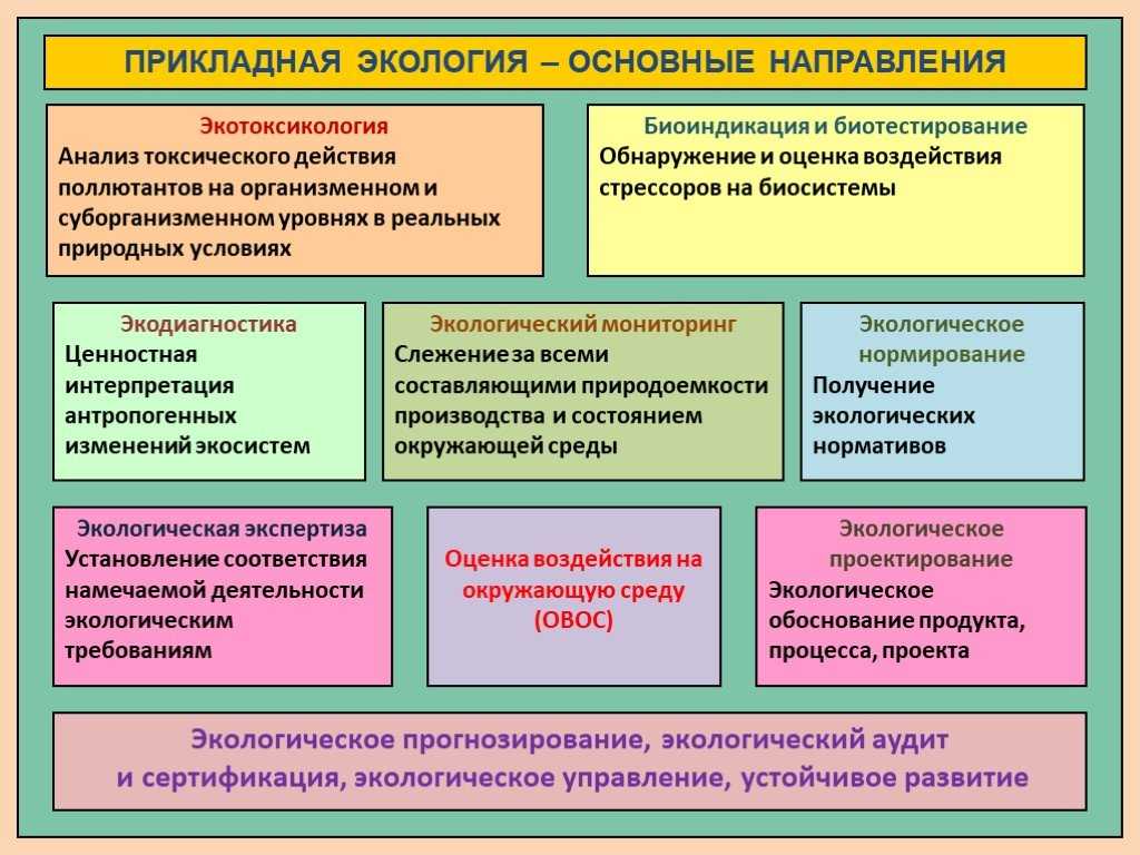 Что изучает прикладная экология - только важное