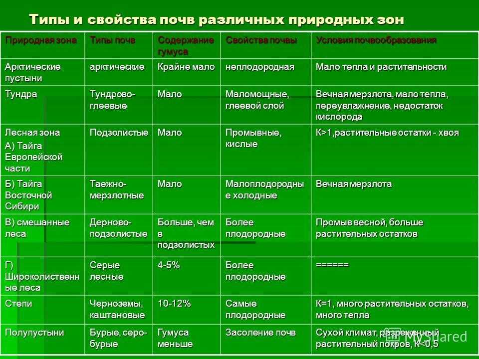Смешанные и широколиственные леса