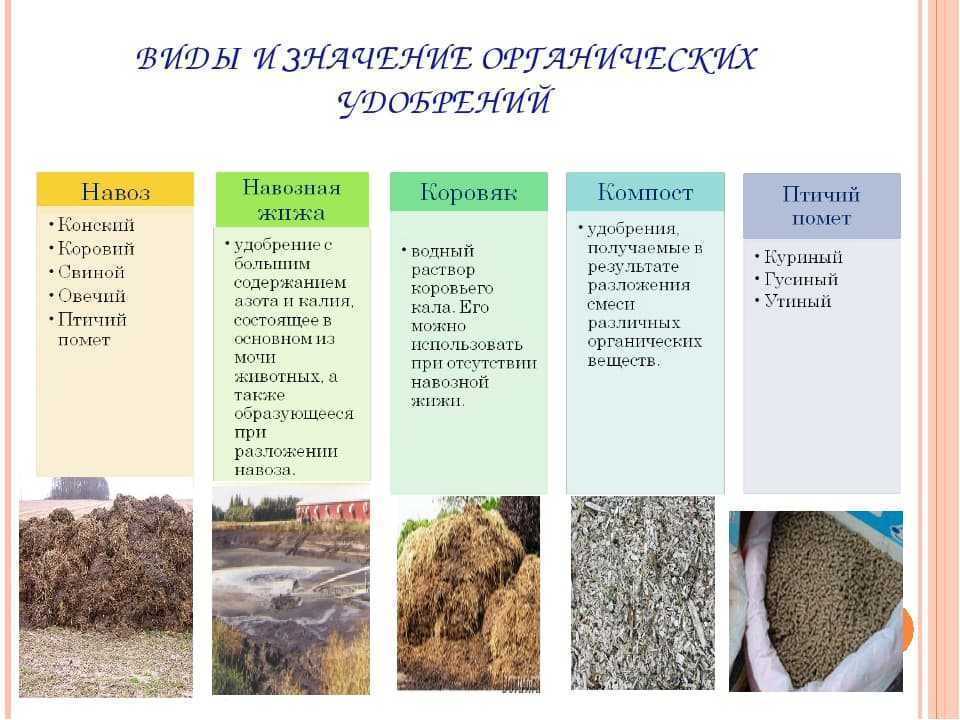 Типы почв