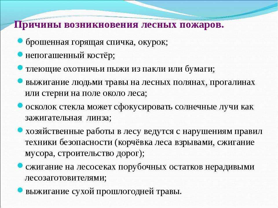 Лесные пожары, их последствия и влияние на экологию и здоровье людей