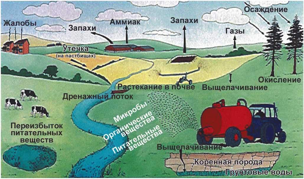 Воздействие сельского хозяйства на окружающую среду