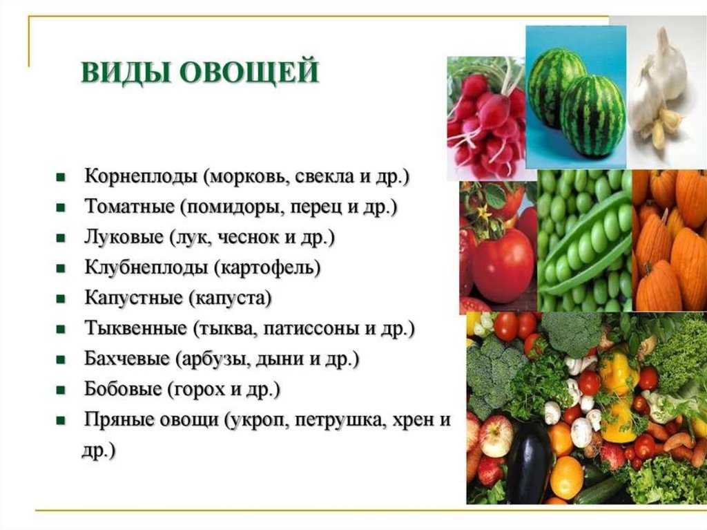какие бывают виды овощей Классификация Различные виды и сорта овощей с фото, описанием и названиями Презентация