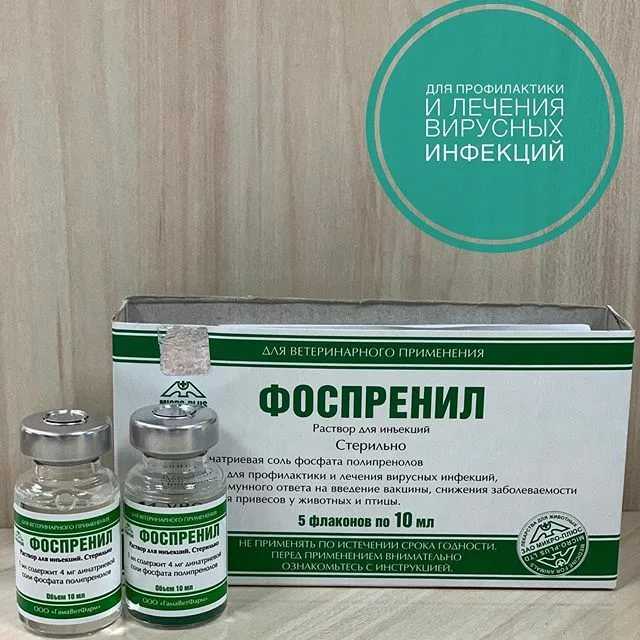 Как принимать препараты для собак — фоспренил и фронтлайн?