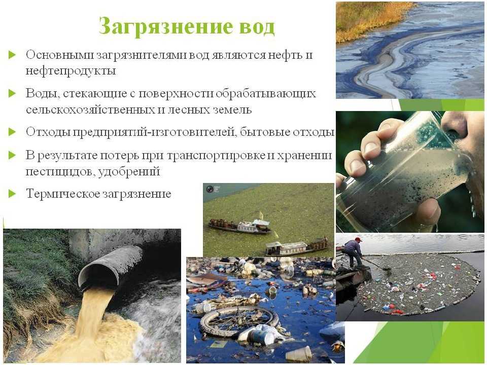 основные источники загрязнения гидросферы и пути решения Примеры загрязнения гидросферы Земли Влияние загрязнения гидросферы на здоровье человека