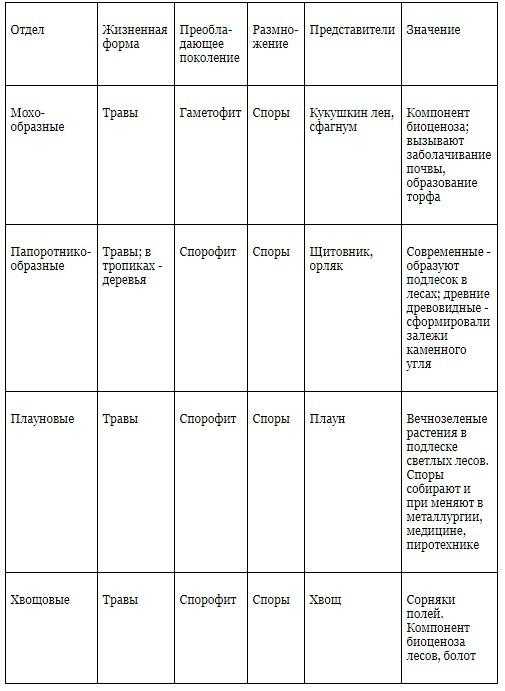 Строение мха и водоросли: сходства и различия
